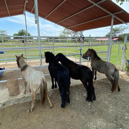 Hotel - Granja De Animales San Basilio De Palenque San Basilio del Palenque Εξωτερικό φωτογραφία