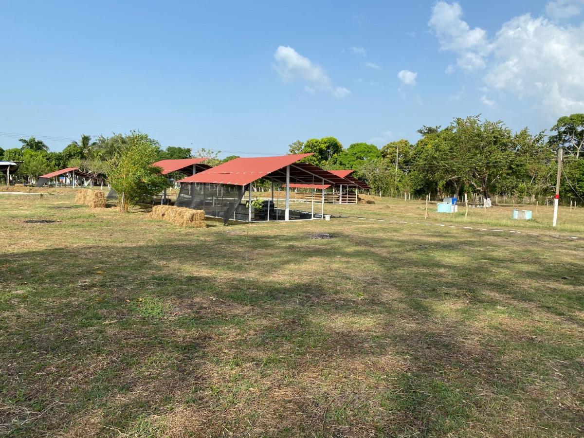 Hotel - Granja De Animales San Basilio De Palenque San Basilio del Palenque Εξωτερικό φωτογραφία