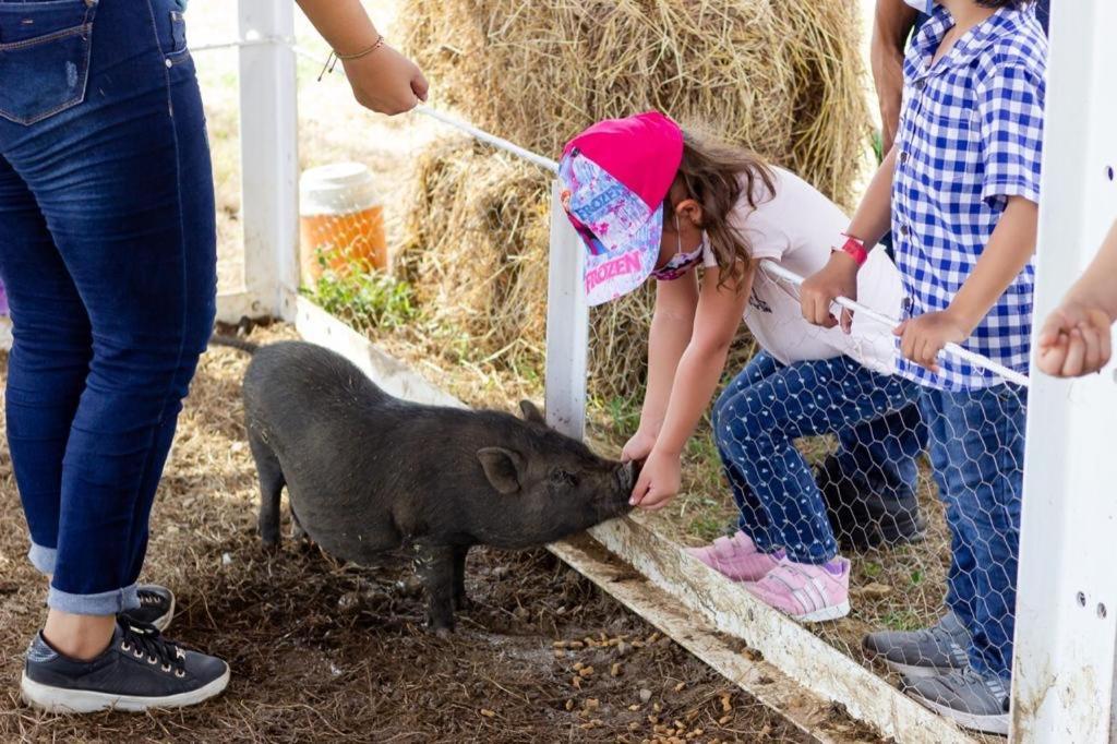Hotel - Granja De Animales San Basilio De Palenque San Basilio del Palenque Εξωτερικό φωτογραφία
