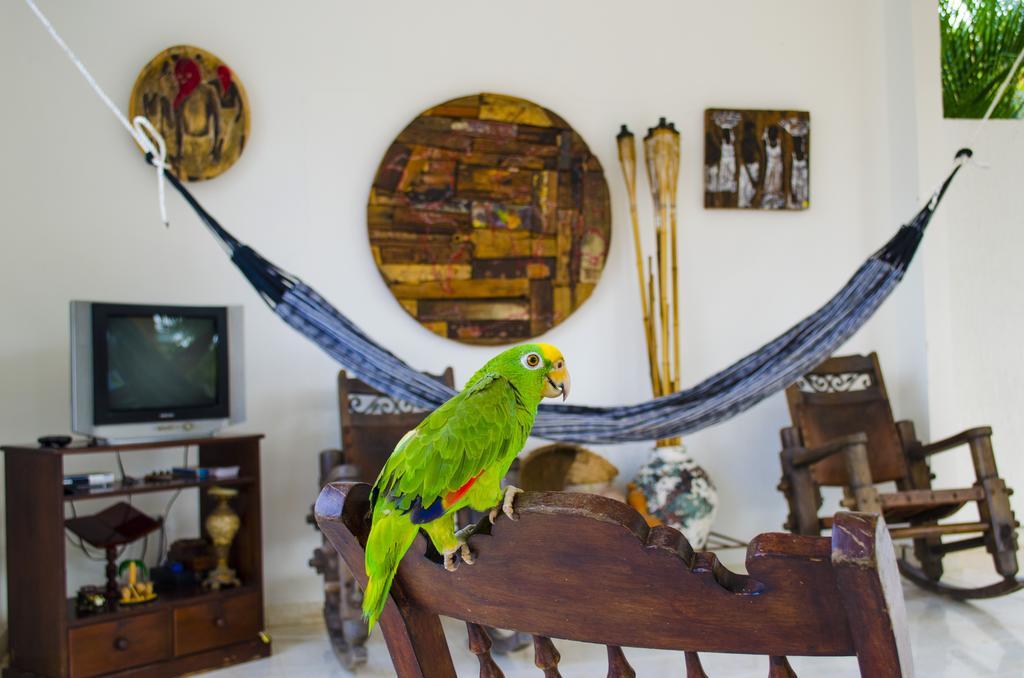 Hotel - Granja De Animales San Basilio De Palenque San Basilio del Palenque Εξωτερικό φωτογραφία